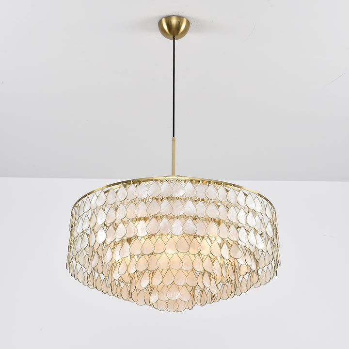 Abbington Shell Chandelier