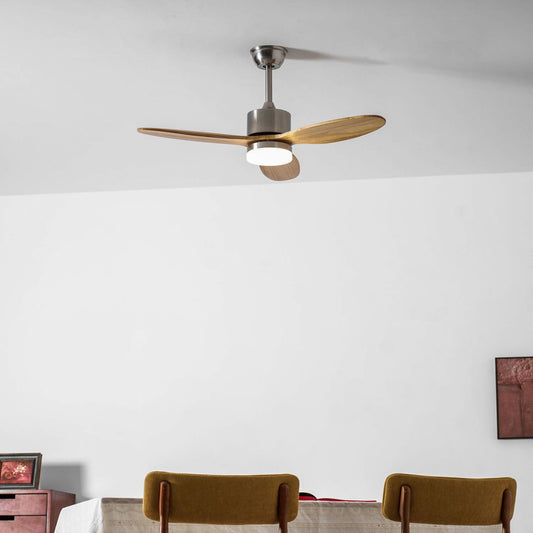 Polaris Ceiling Fan Light