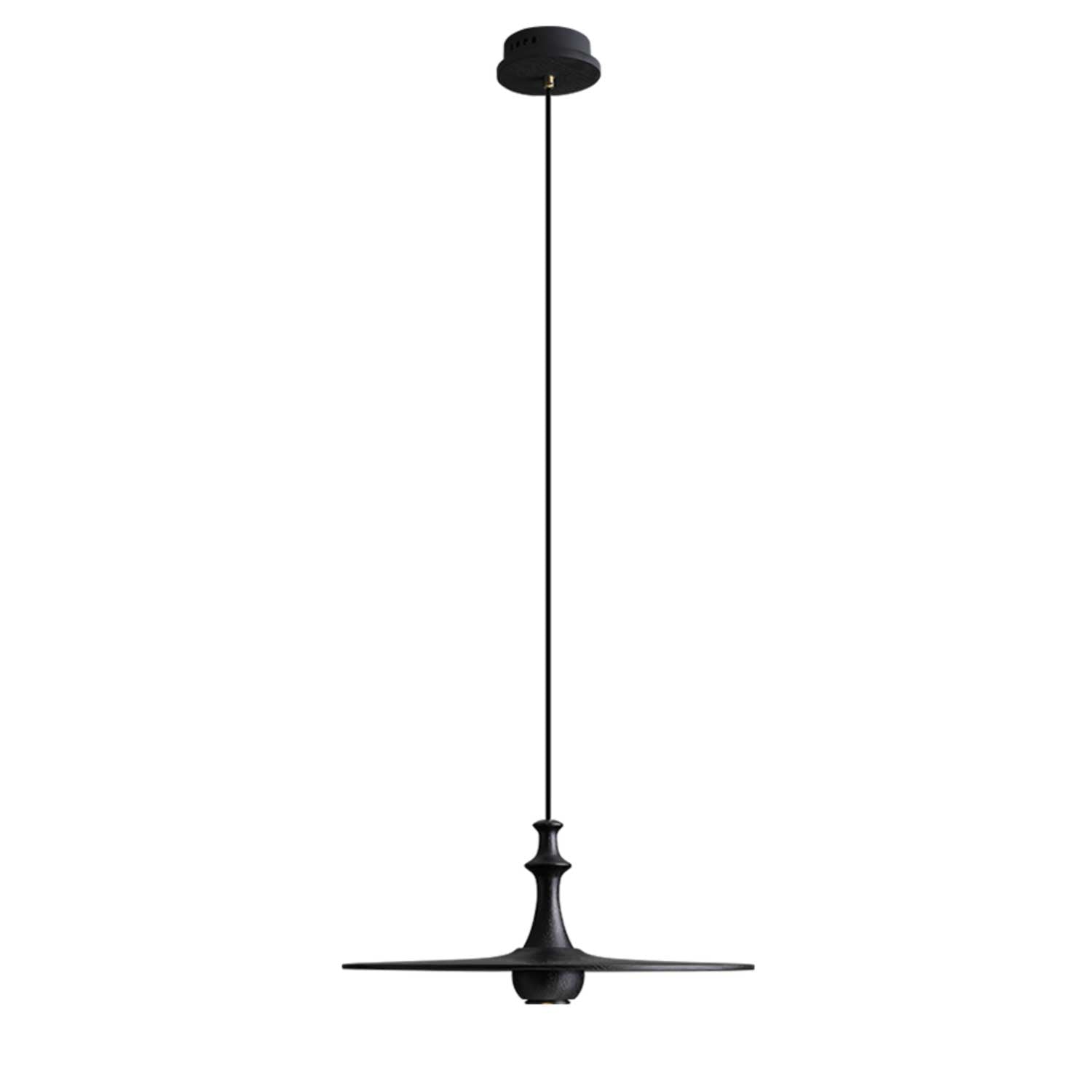 Wooden Spin Pendant Light