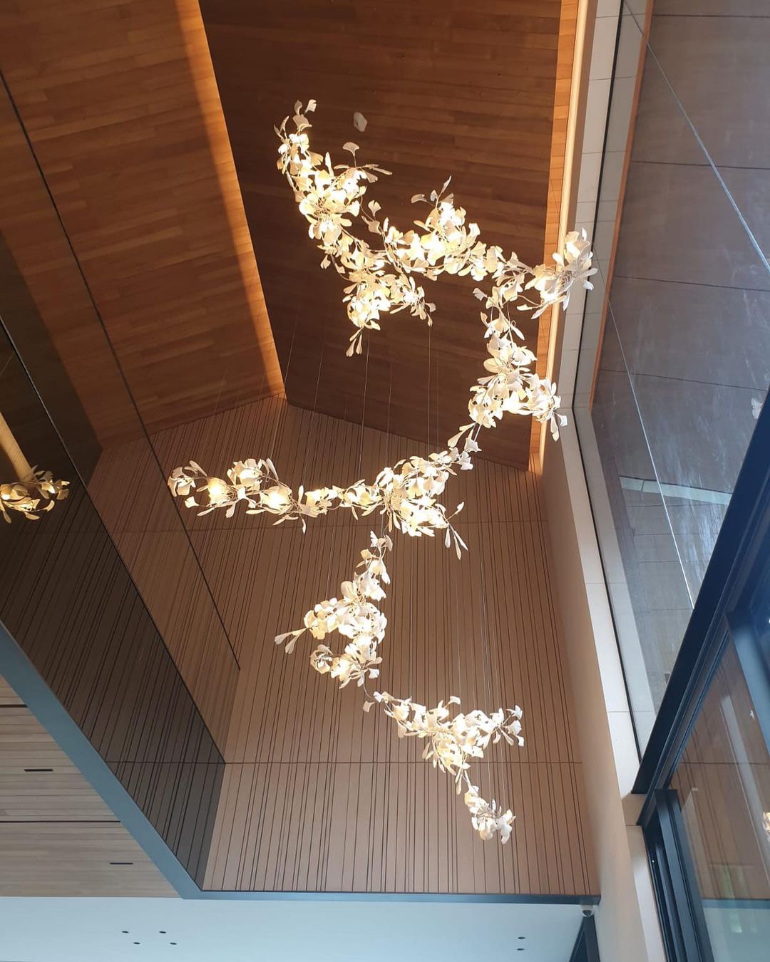 Gingko Chandelier C
