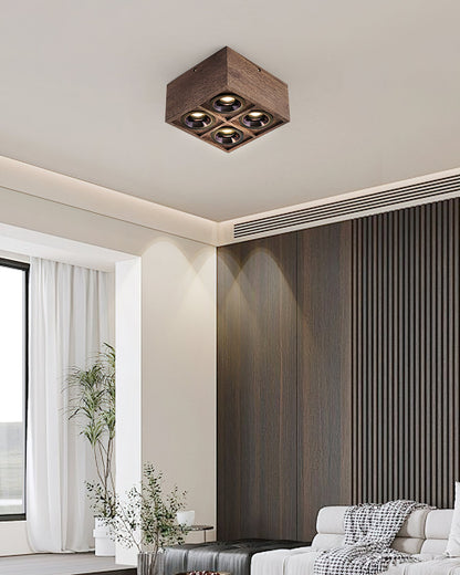 Sollox Ceiling Light