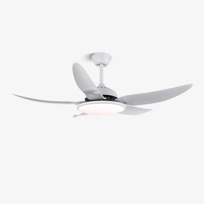 Noctura Ceiling Fan Light