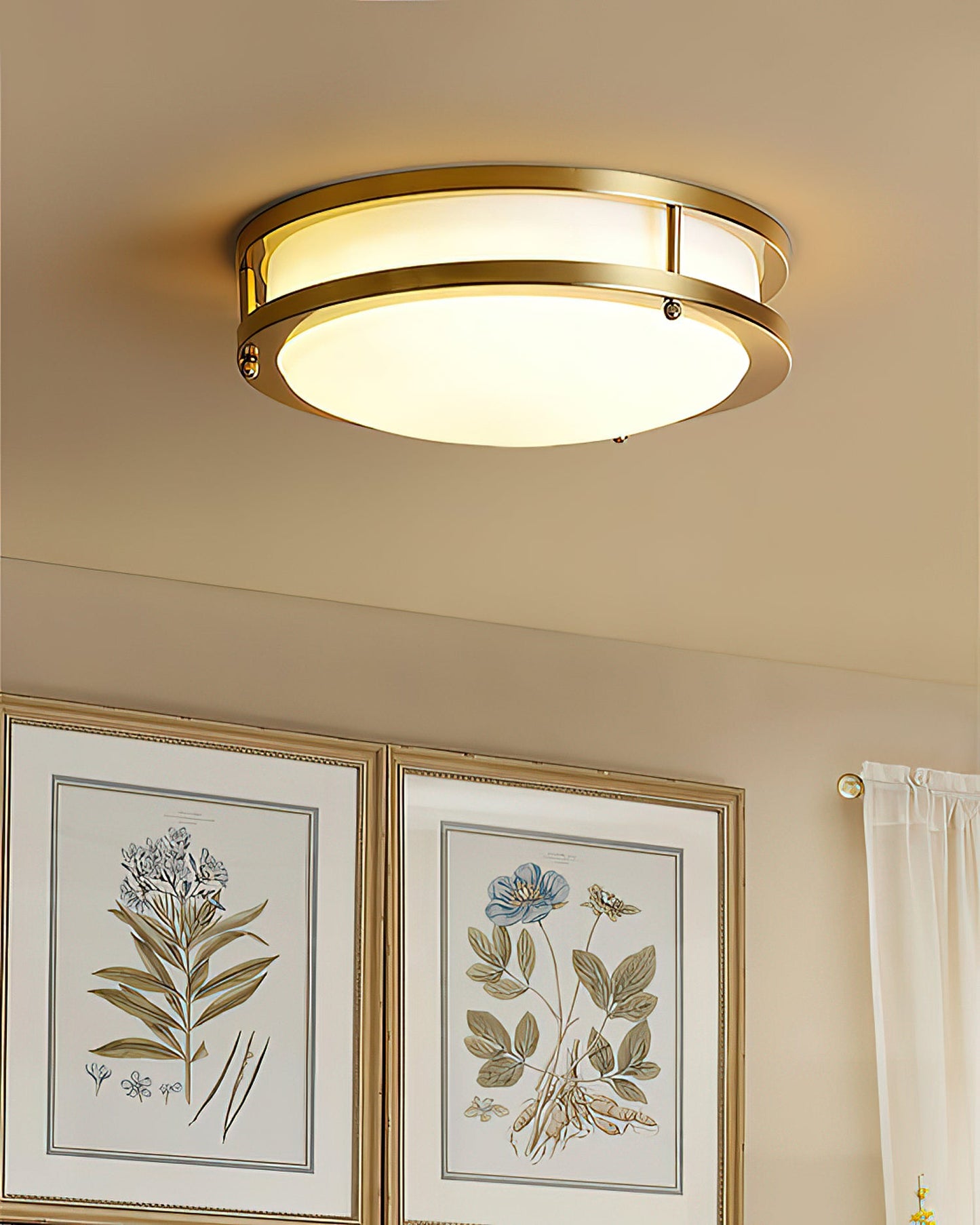 Bellacor Ceiling Lamp