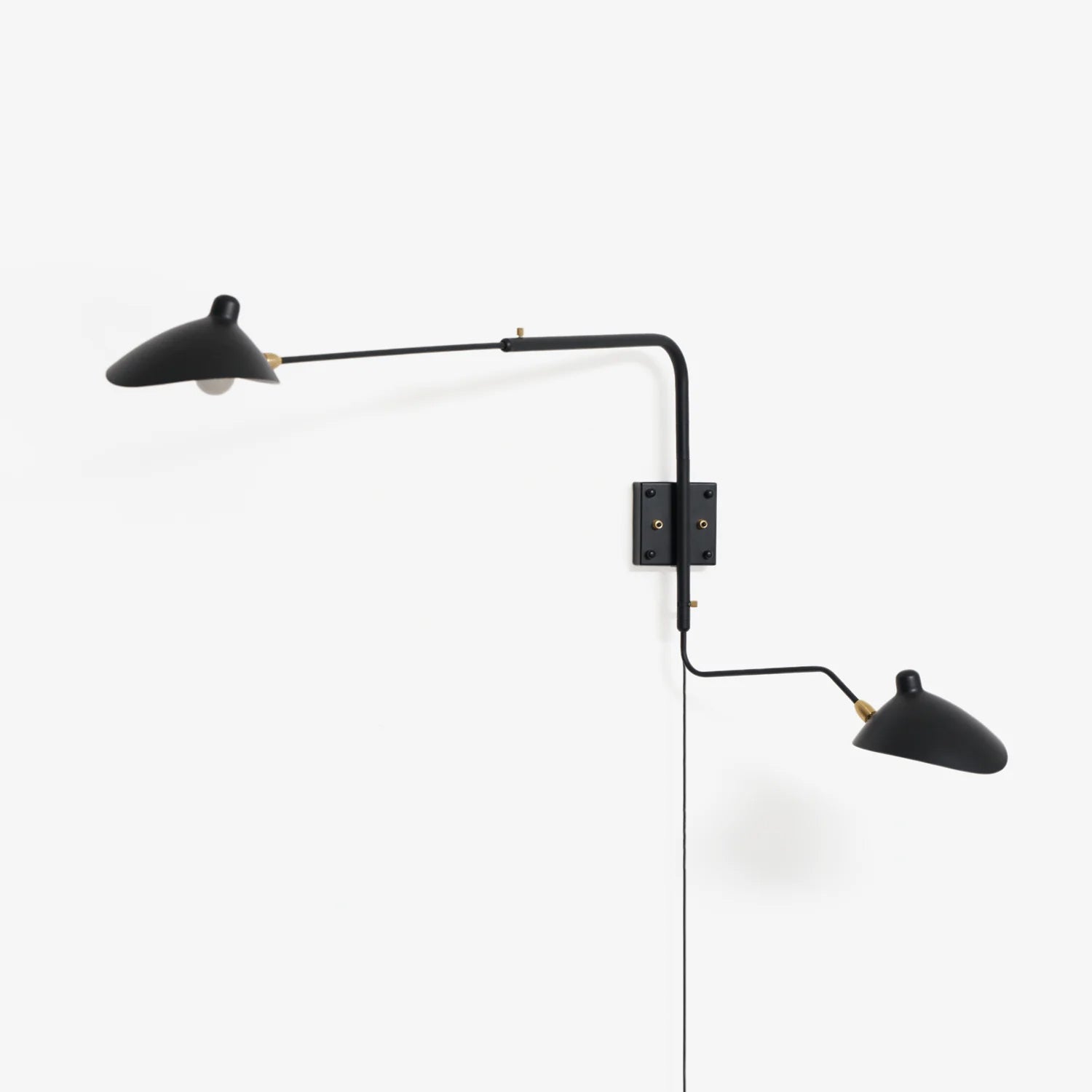 Versatile Arm Wall Sconce