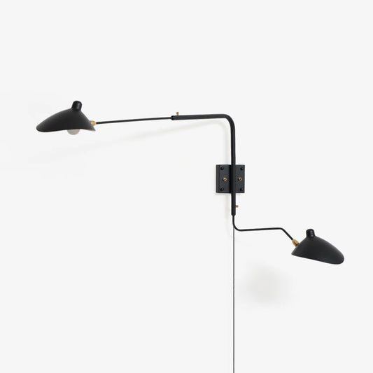 Versatile Arm Wall Sconce