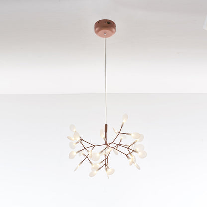 Heracleum Chandelier