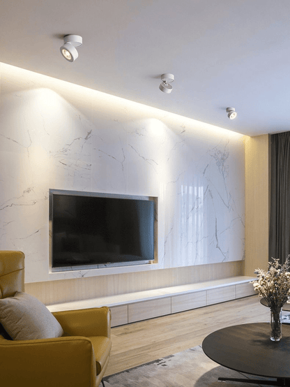 Round Rotating LED Downlight