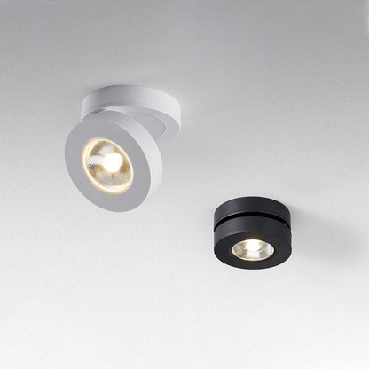 Round Rotating LED Downlight
