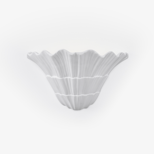 Marina Shell Wall Light