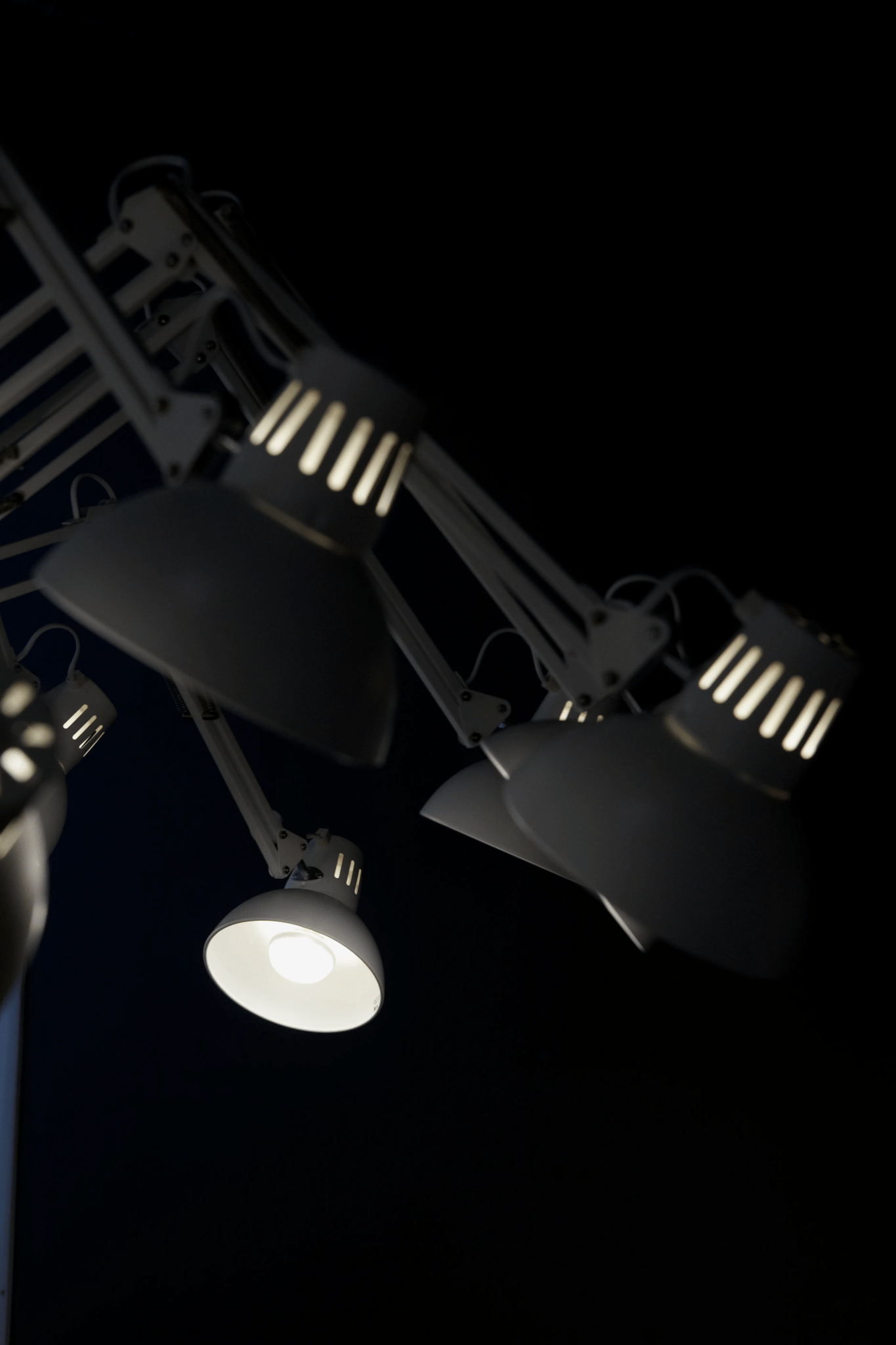 Dear Ingo Chandelier