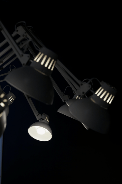 Dear Ingo Chandelier
