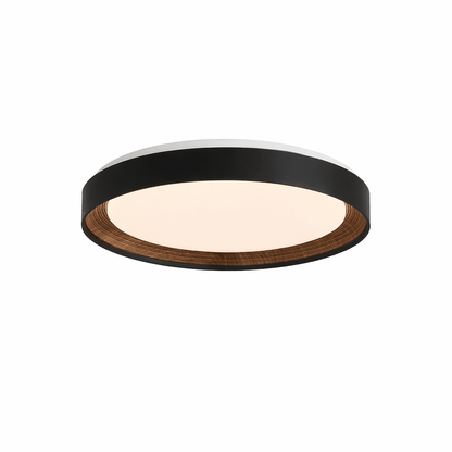 Arco Acrylic Ceiling Light