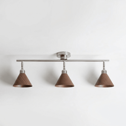 Axiom Directional Ceiling Lamp