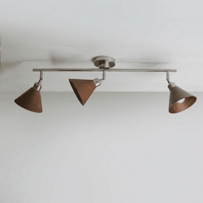 Axiom Directional Ceiling Lamp