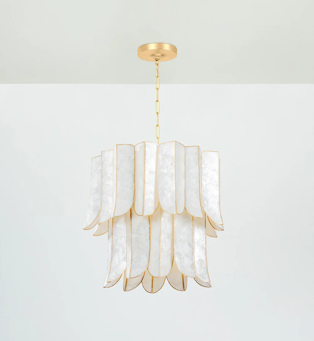 Cascara Shell Chandelier