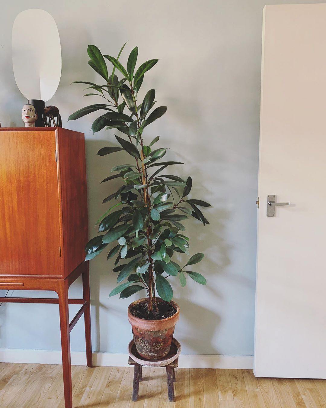 Serena Table Lamp