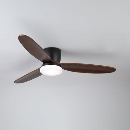 Nocturnus Ceiling Fan Light