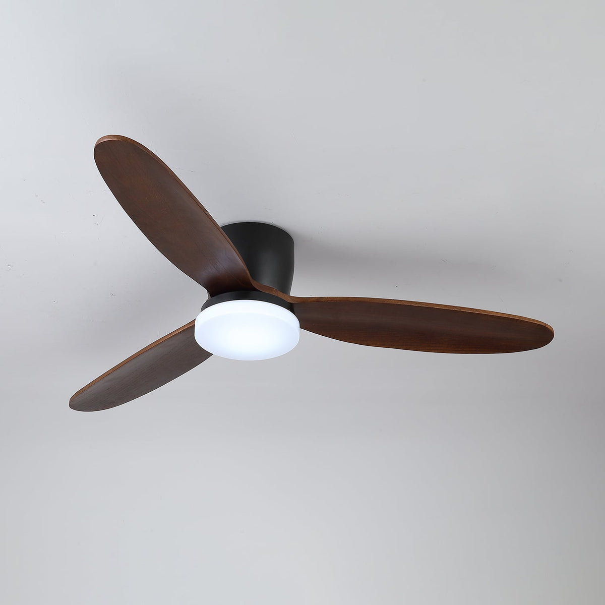 Nocturnus Ceiling Fan Light