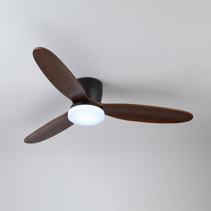 Nocturnus Ceiling Fan Light