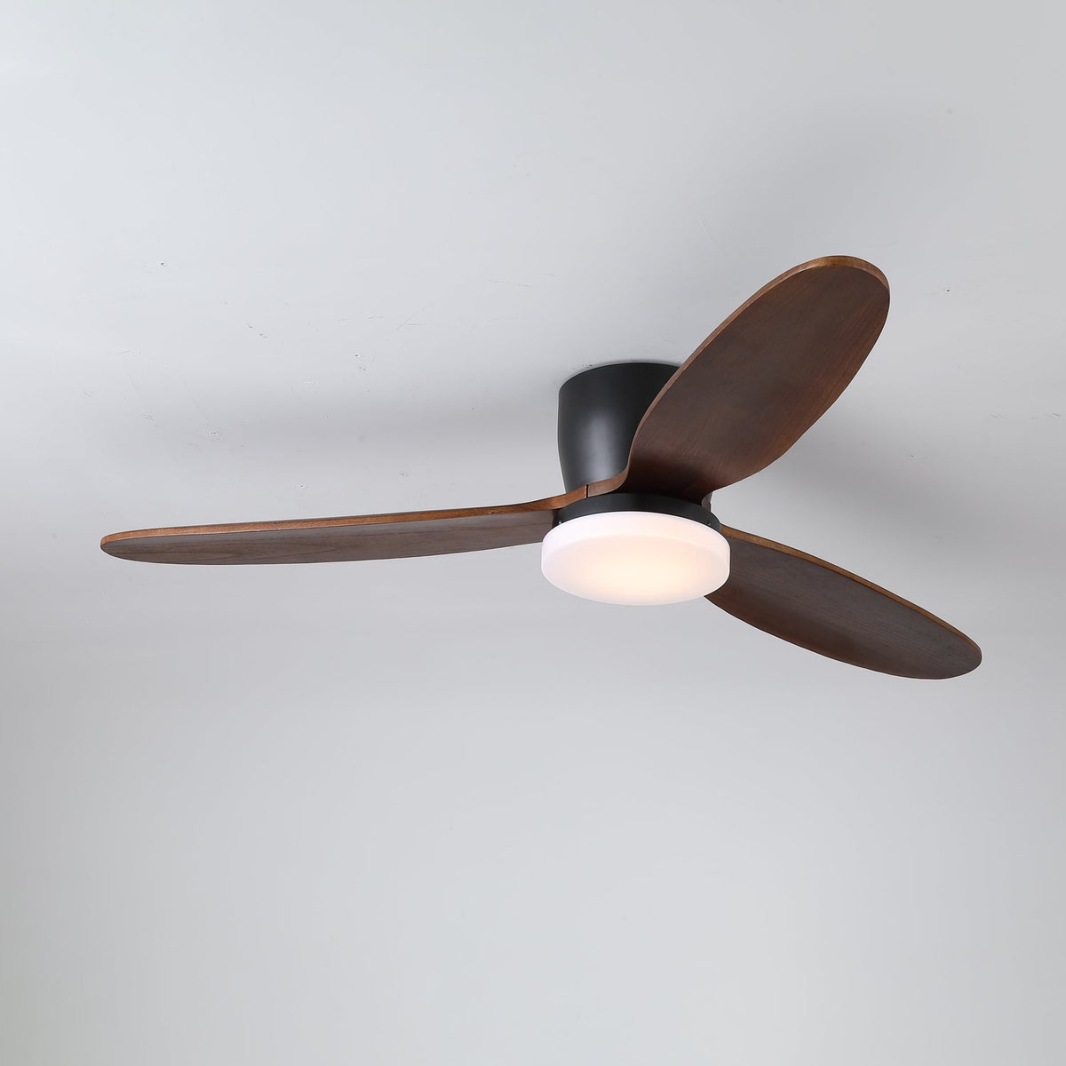 Nocturnus Ceiling Fan Light