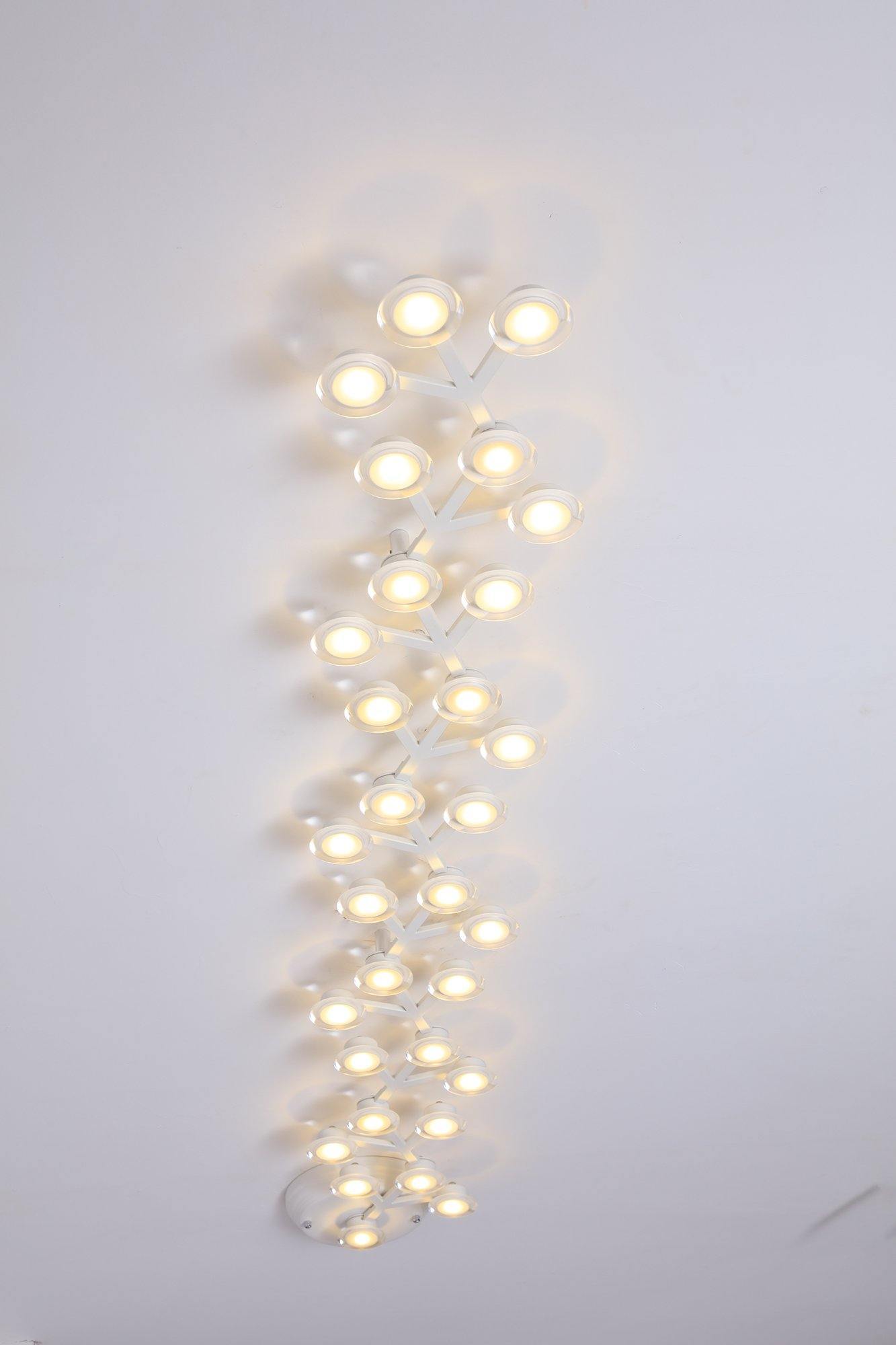 LED Net Ceiling Lamp