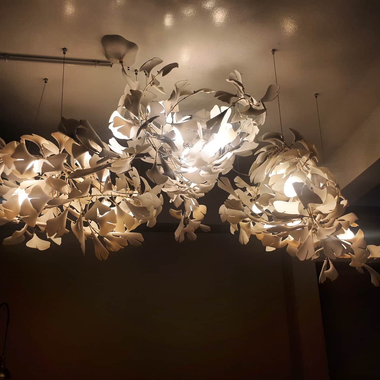 Gingko Chandelier E