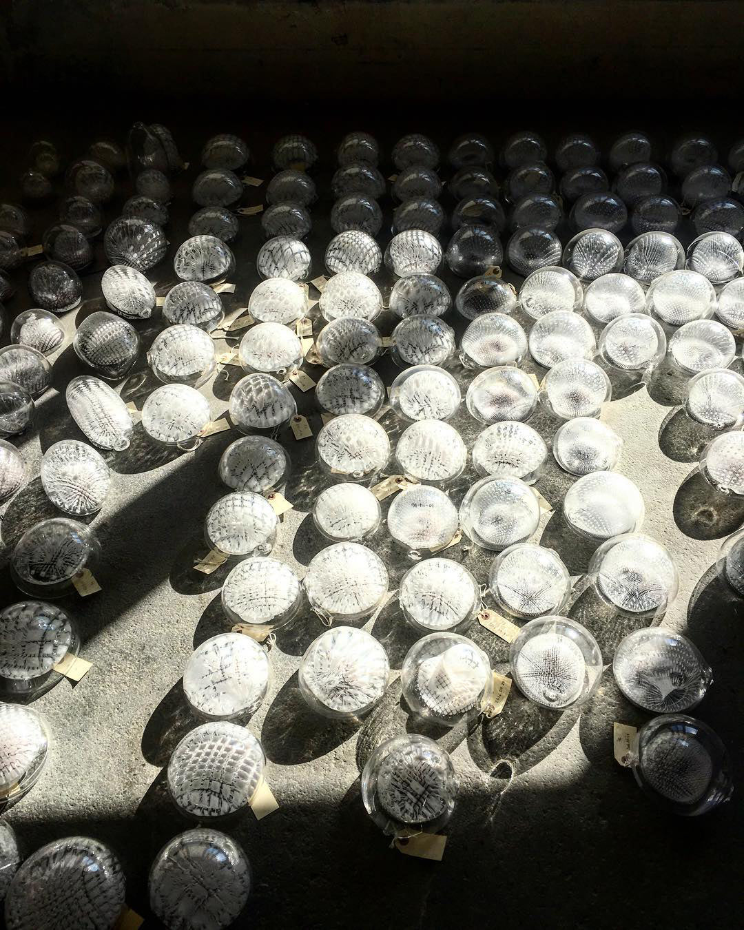 White and Clear Glass Pendant Light