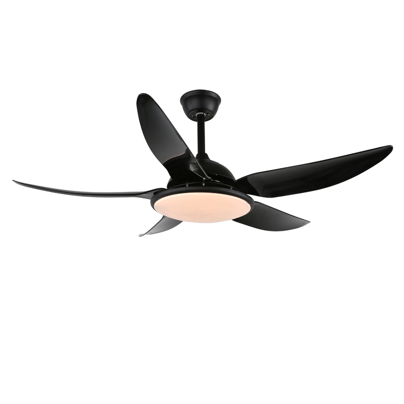 Noctura Ceiling Fan Light