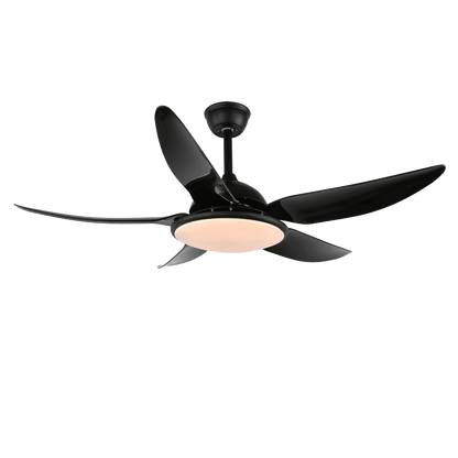 Noctura Ceiling Fan Light