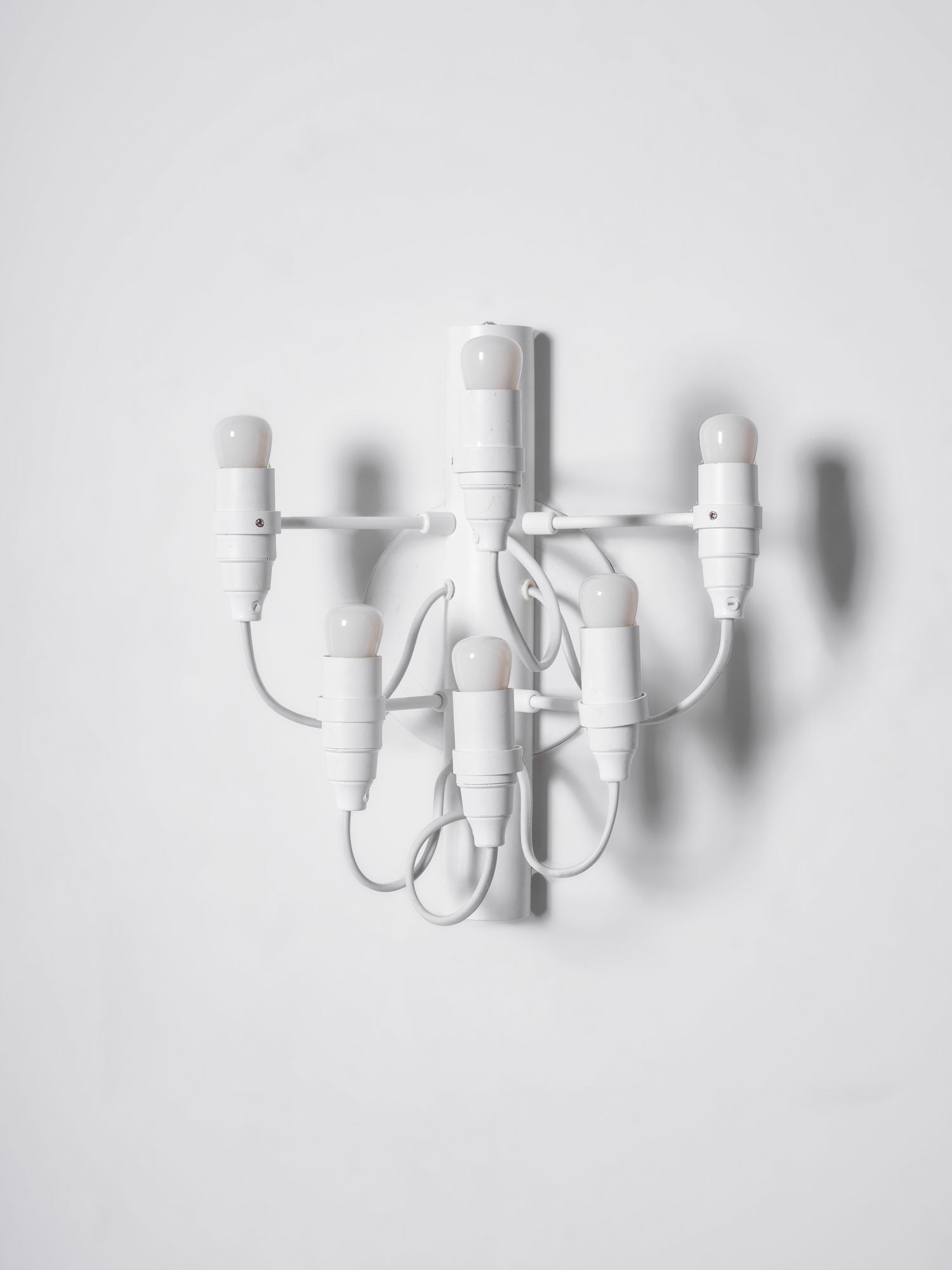 Fruit Wall Lamp