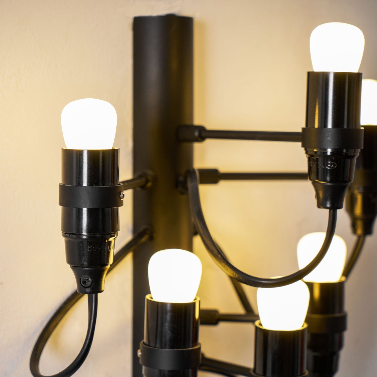 Fruit Wall Lamp