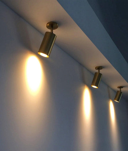 Modern Delia Ceiling Lamp