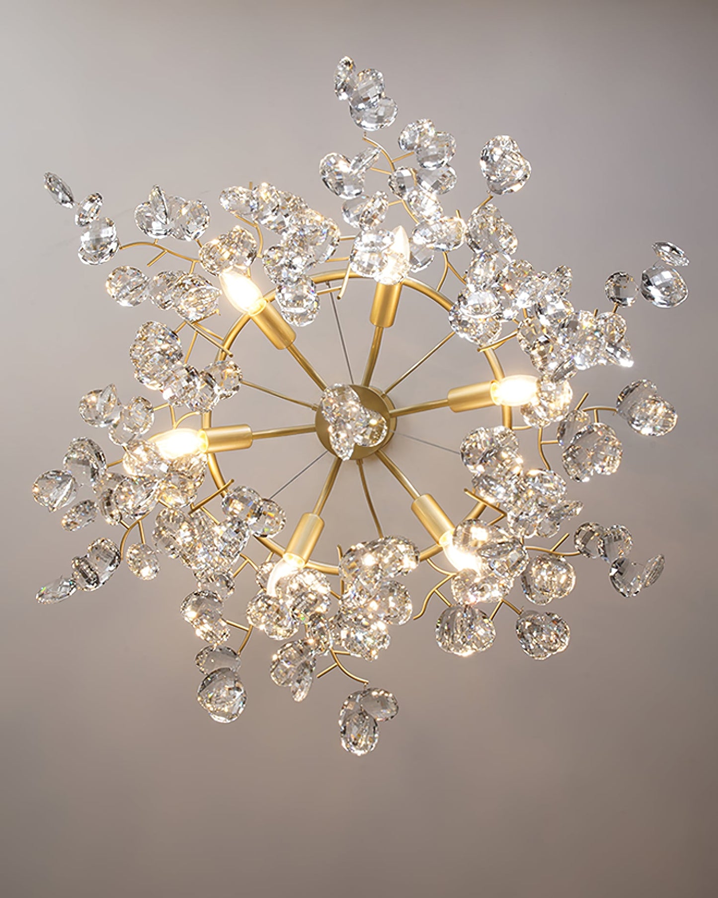 Sofia Chandelier