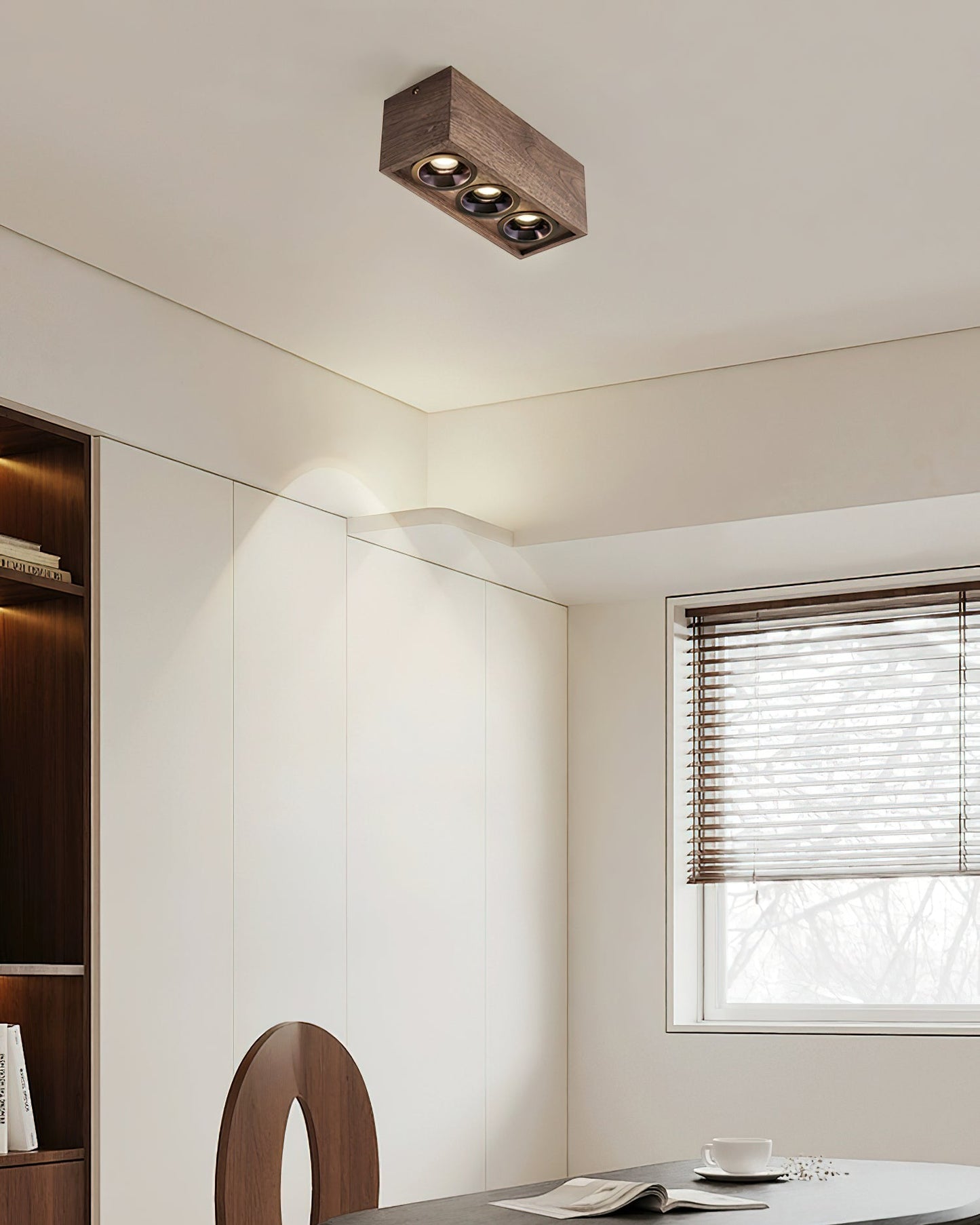 Sollox Ceiling Light