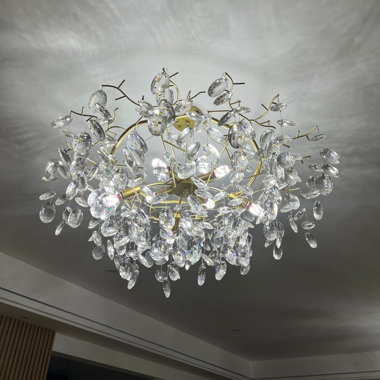 Sofia Chandelier