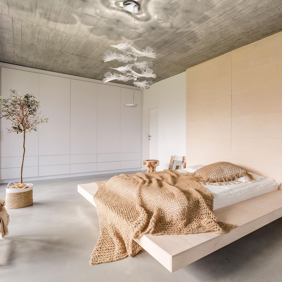 Chlorophilia Suspension Light