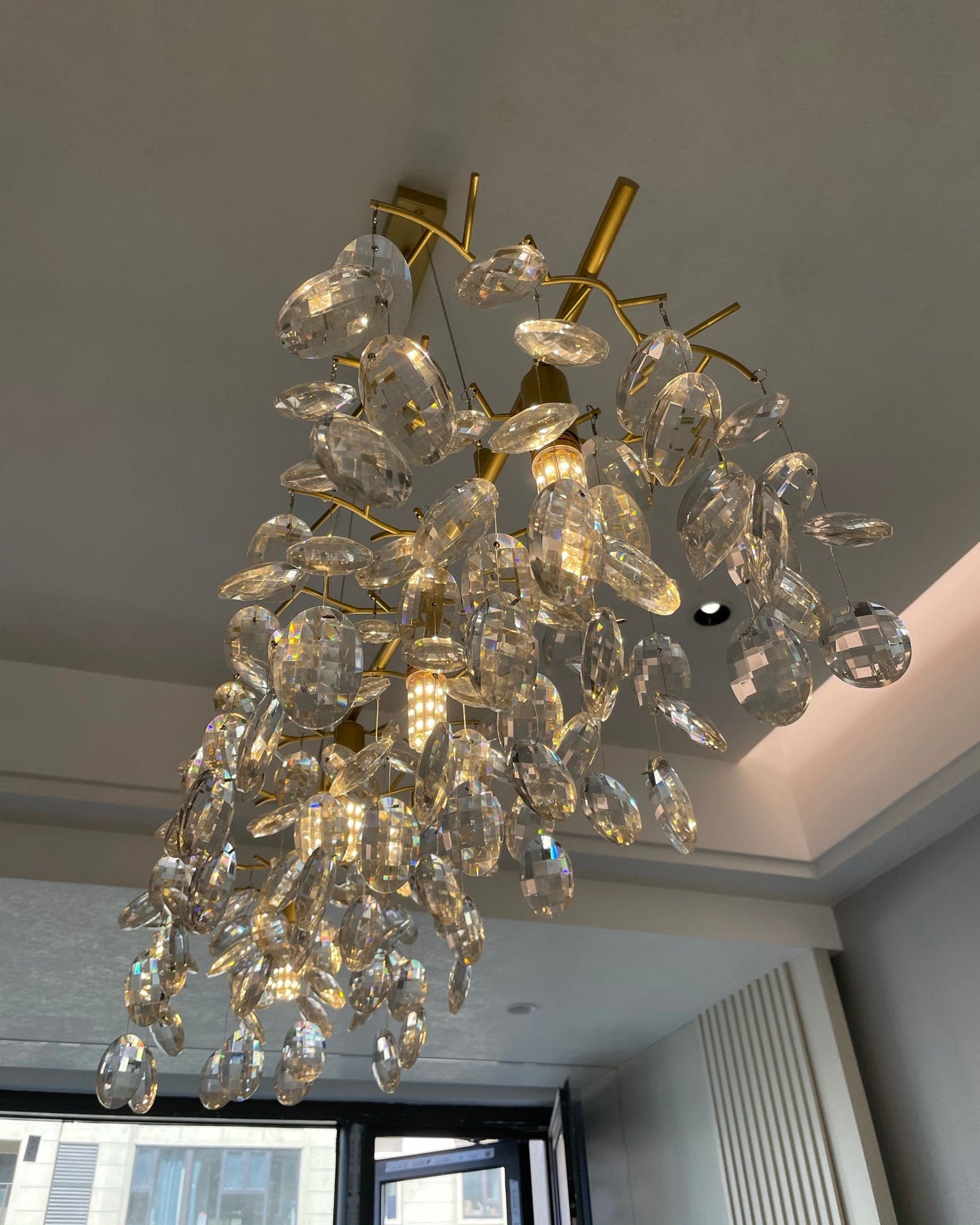 Sofia Chandelier