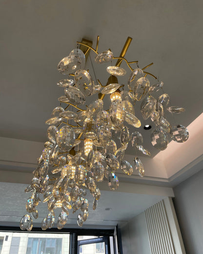 Sofia Chandelier