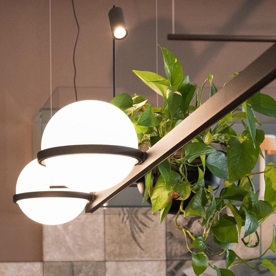 Palma Pendant Lamp