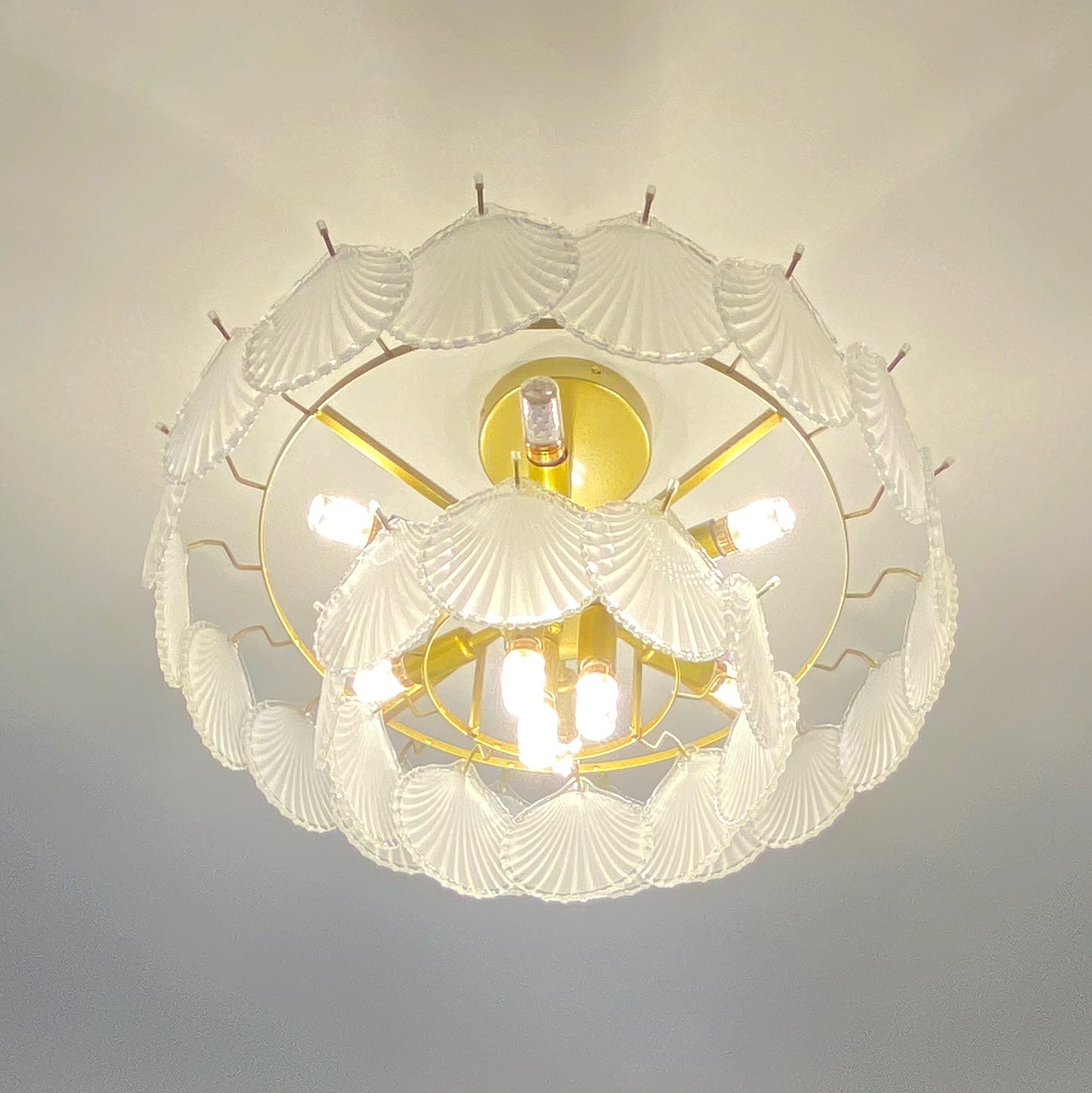 Shell Glass chandelier