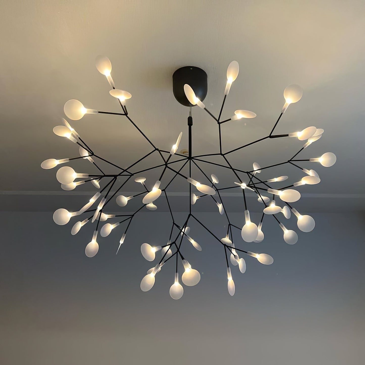 Heracleum Black Chandeliers