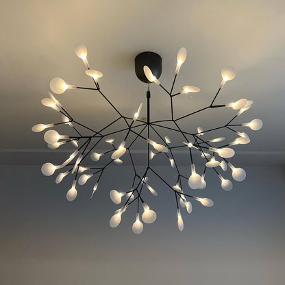 Heracleum Black Chandeliers