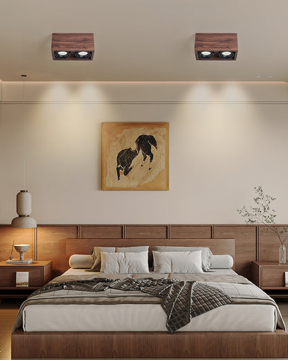 Sollox Ceiling Light