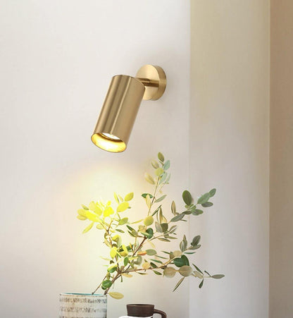 Modern Delia Ceiling Lamp
