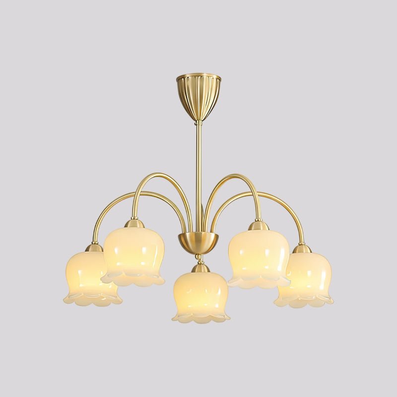Cavella Chandelier