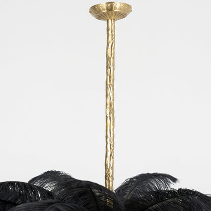 Ostrich Feather Chandeliers