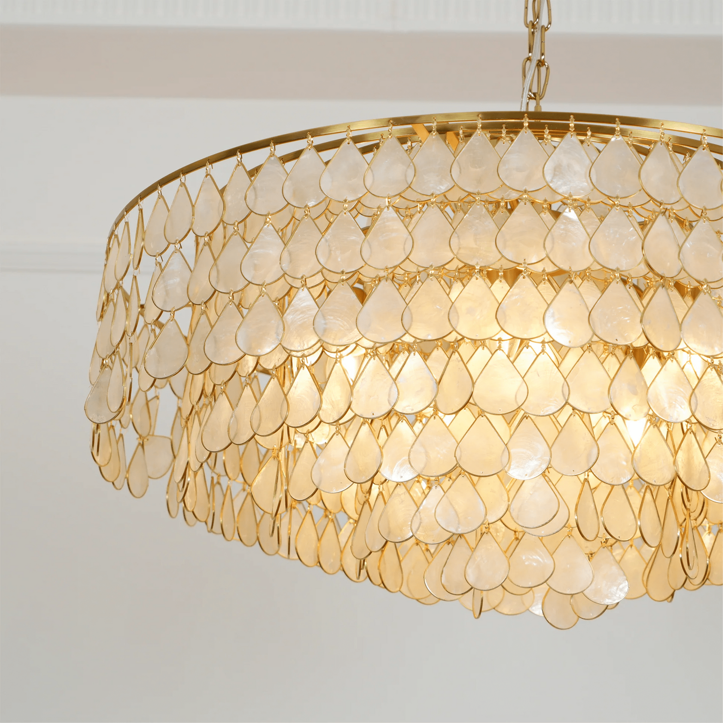 Abbington Shell Chandelier