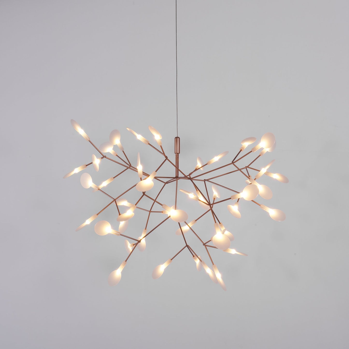 Heracleum Chandelier