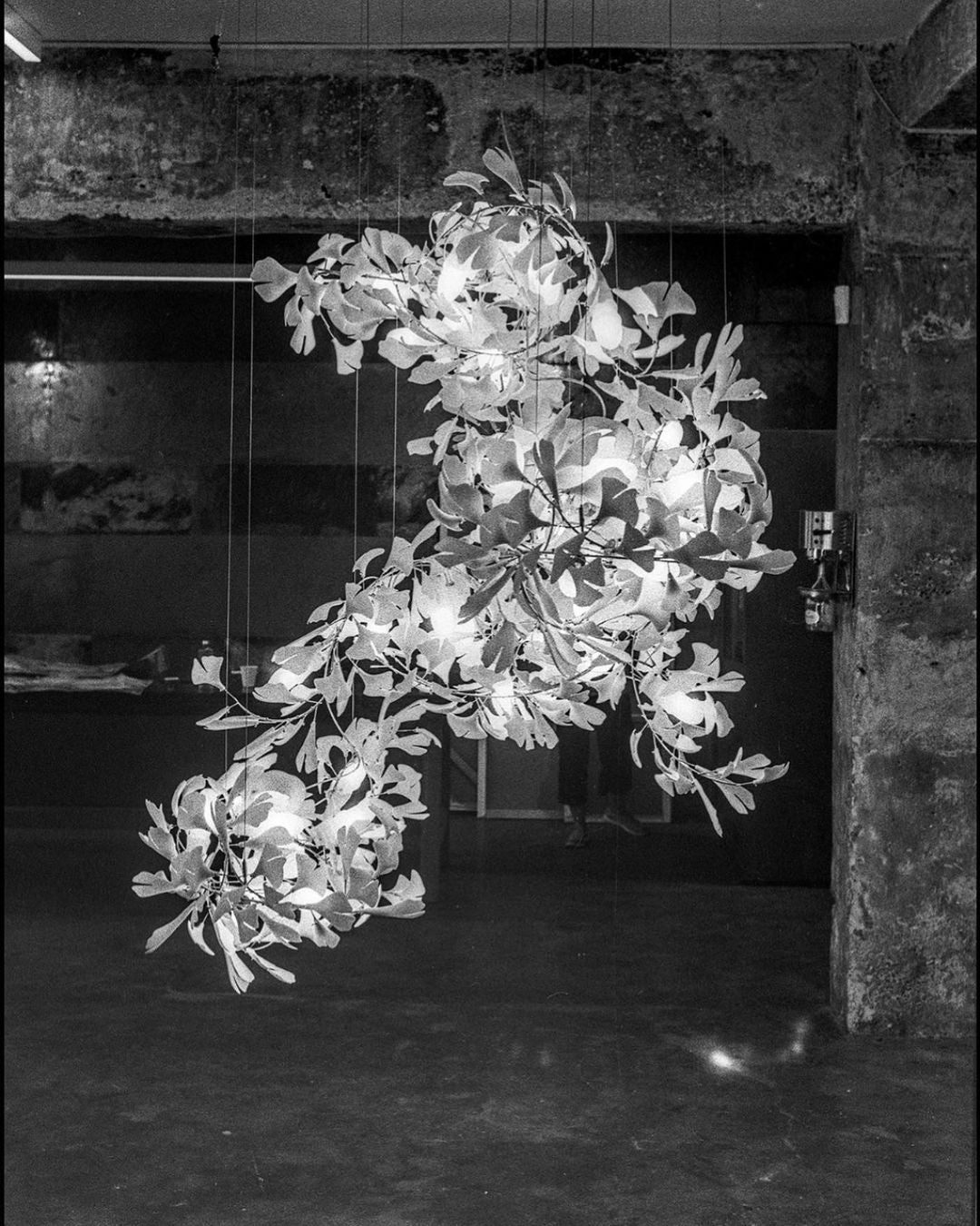 Gingko Chandelier B