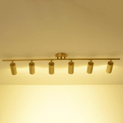 Modern Delia Ceiling Lamp